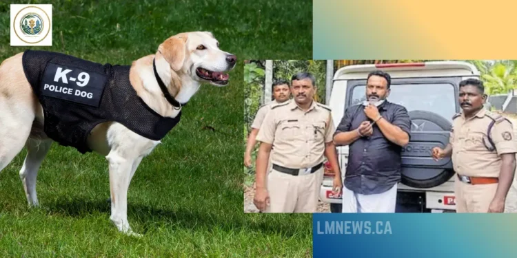 കള്ളൻ കപ്പലിൽ തന്നെ! ആളില്ലാത്ത വീട്ടിൽ നിന്ന് 25 പവൻ കവർന്ന അയൽവാസി പിടിയിൽ; പ്രതിയെ കുടുക്കി പോലീസ് നായ